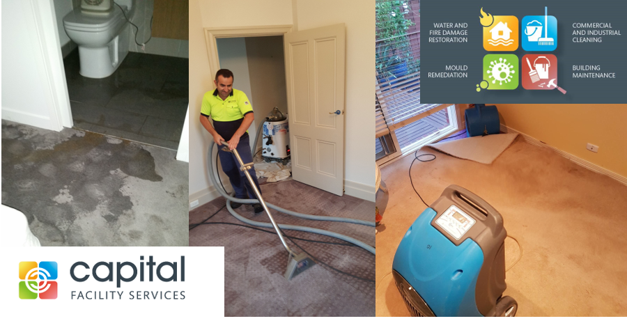 Water Damage Restoration
