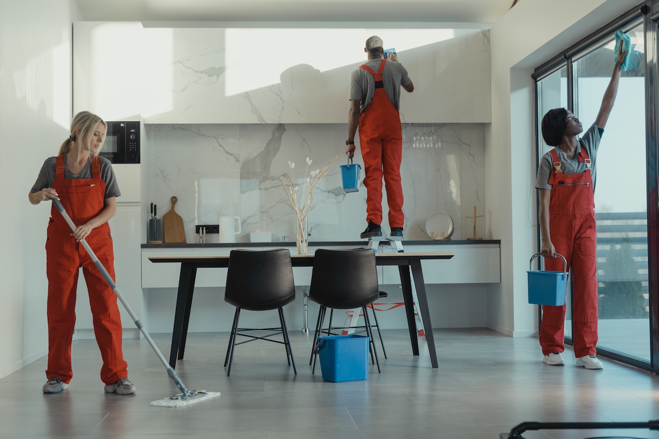 Mould Cleaning